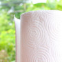 paper_towel-thumb-OWN