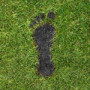 greenfootprint