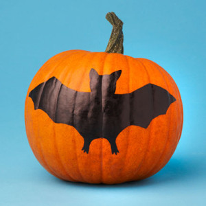 nocarvepumpkin3